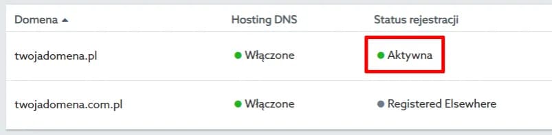 Gdzie przenieść domenę? Uniknij kosztownych błędów przy transferze