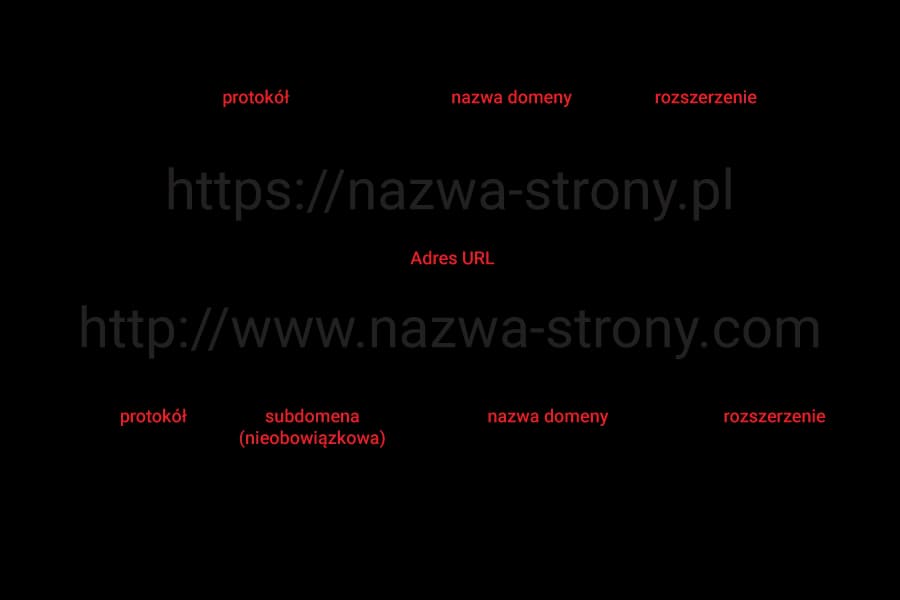 Gdzie znajduje się nazwa domeny strony internetowej w URL?