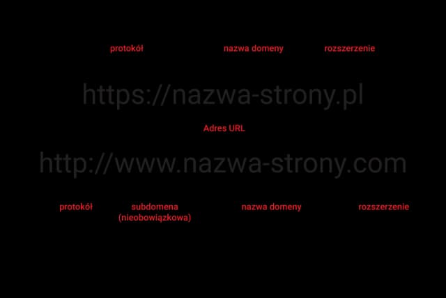 Gdzie znajduje się nazwa domeny strony internetowej w URL?